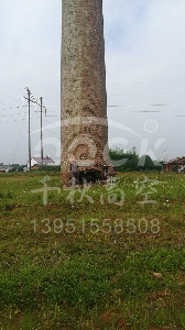 煙囪人工定向拆除